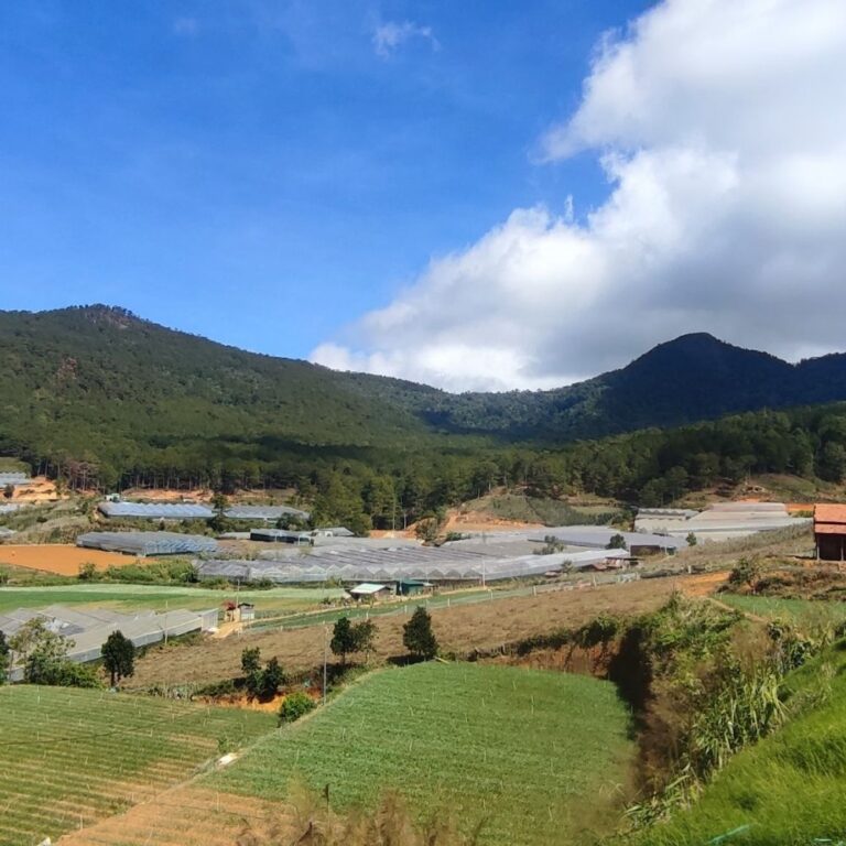 Bán đất, TDP Bon Đưng I, Huyện Lạc Dương, Đường đất, 9448.9m2