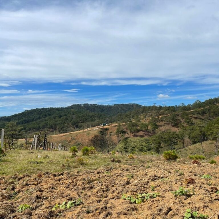 Bán đất, Xã Đa Nhim, Huyện Lạc Dương, Đường bê tông 6m, 39000m2