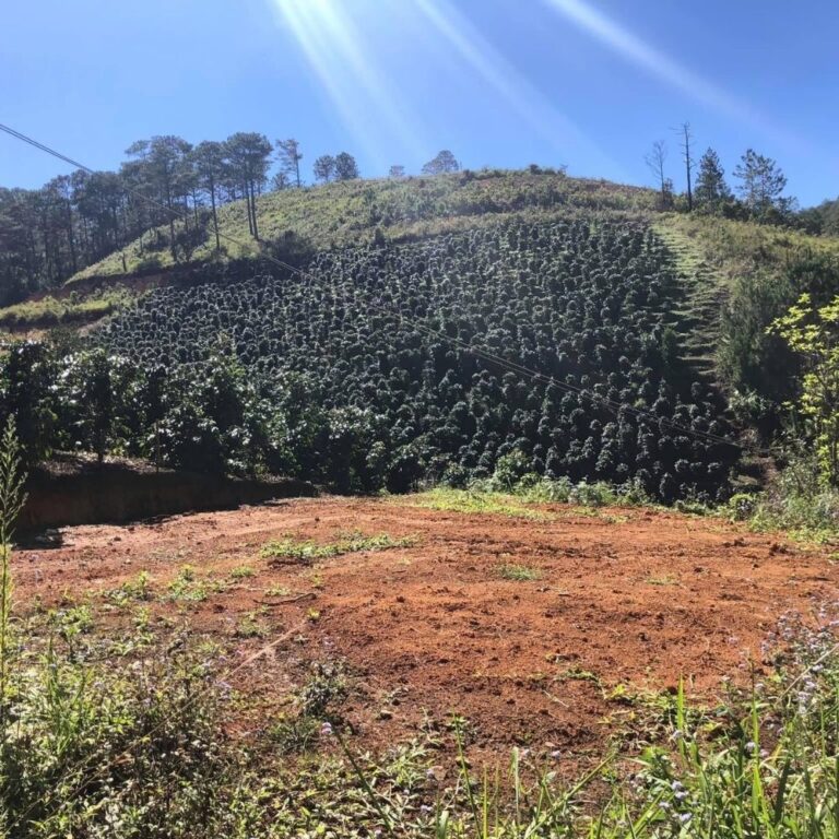 Bán đất, Xã Đạ Sar, Huyện Lạc Dương, Đường bê tông 4m, 500m2