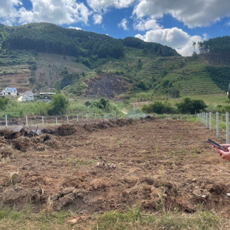 Bán đất, Xã Đông Thanh, Huyện Lâm Hà, Đường ô tô 4m, 1775m2