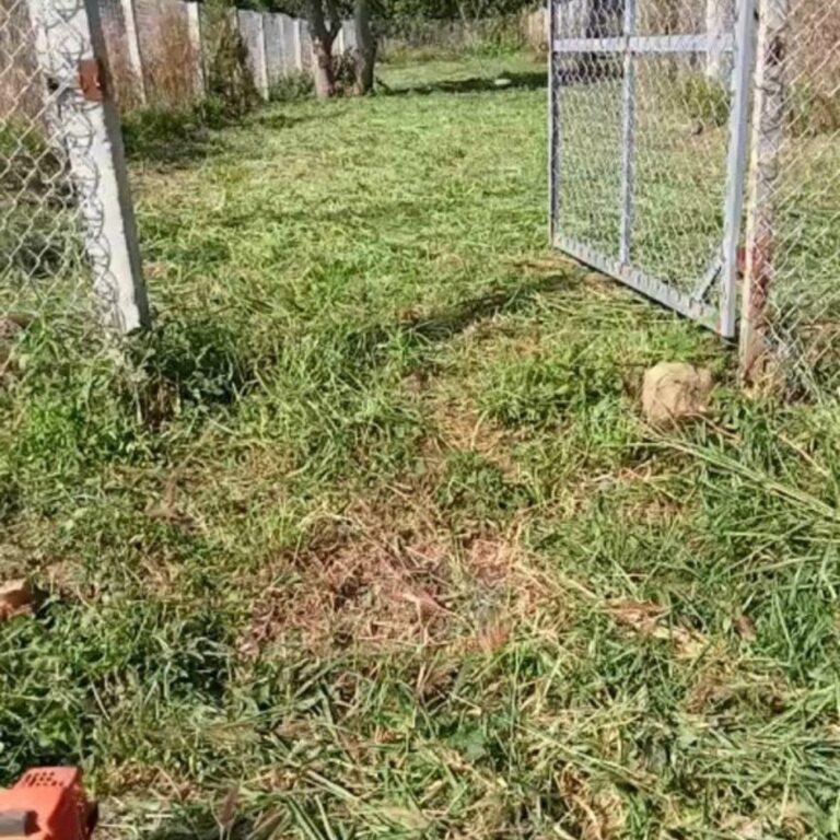 Bán đất, Xã Đông Thanh, Huyện Lâm Hà, Đường bê tông ô tô 3,5m, 269m2