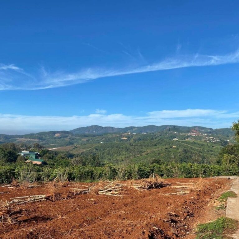 Bán đất, Xã Gia Lâm, Huyện Lâm Hà, Đường bê tông 4m, 720m2