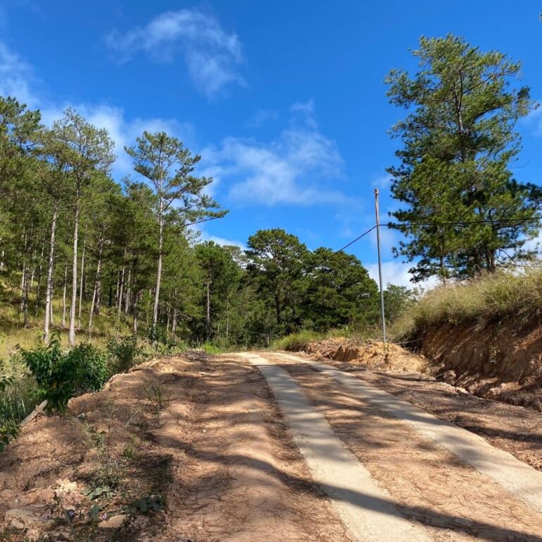 Bán đất, Xã Xuân Thọ, TP Đà Lạt, Đường đá ô tô né nhau, 1954m2