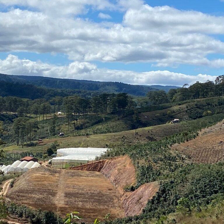 Bán đất, Xã Xuân Thọ, TP Đà Lạt, Đường đá ô tô né nhau, 2195m2