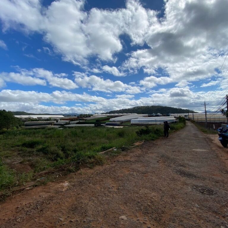 Bán đất, Đa Quý, Xã Xuân Thọ, TP Đà Lạt, Đường nhựa 10m,, 3581m2