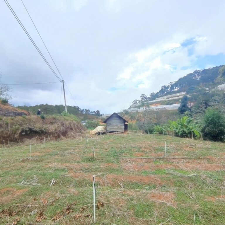 Bán đất, Đường Tự Tạo, Xã Xuân Thọ, TP Đà Lạt, Đường ô tô 4m, 3759m2