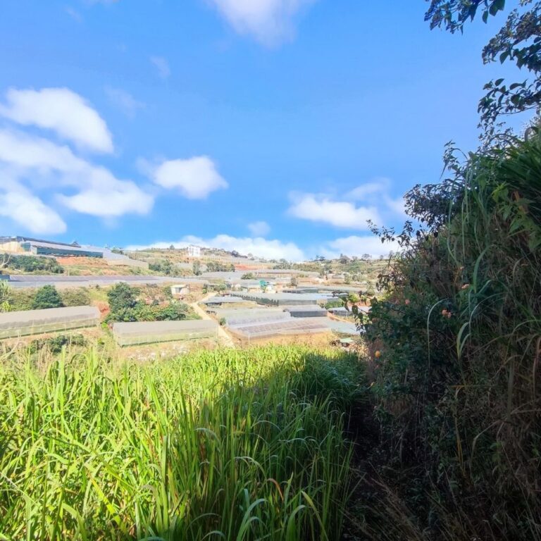 Bán đất, Thôn Đa Lộc, Xã Xuân Thọ, TP Đà Lạt, Đường ô tô 4m, 4079m2