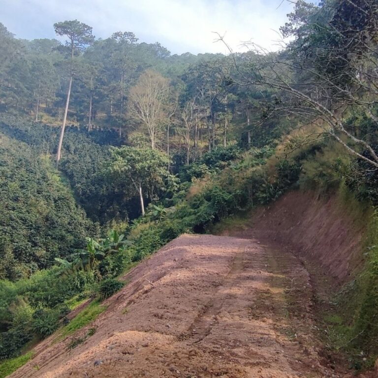 Bán đất, Đa Thọ, Xuân Thọ, Phường Xuân Trường, TP Đà Lạt, Đường đất 4m, 5043m2