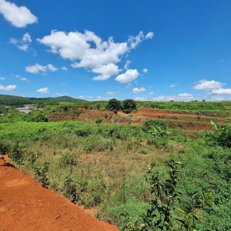 Bán đất, Đa Thọ, Xã Xuân Thọ, TP Đà Lạt, Đường ô tô 5m, 6100m2