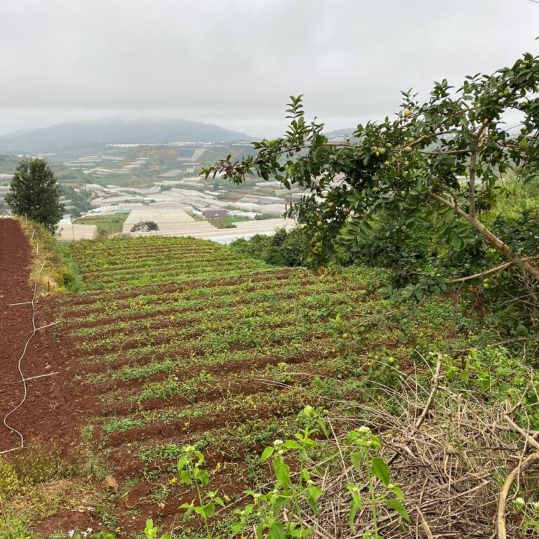 Bán đất, Đường Phước Thành, Phường 7, TP Đà Lạt, Đường bê tông 3.5m, 400m2