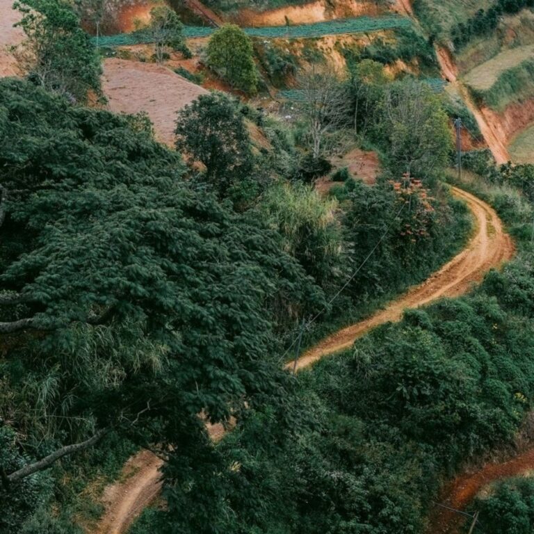 Bán đất, Thôn Lộc Quý, Xã Xuân Thọ, TP Đà Lạt, Đường ô tô 5m, 568m2