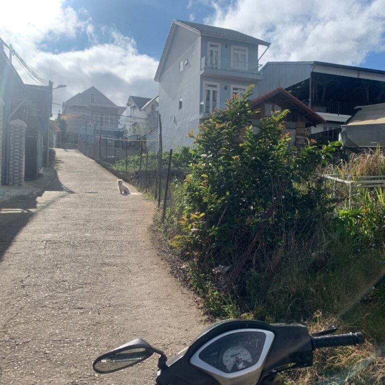 Bán đất, Vạn Hạnh, Phường 8, TP Đà Lạt, Đường ô tô 6m, 230m2