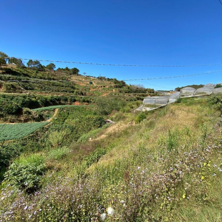 Bán đất, Đường Xuân Thành, Trại Mát, Phường 11, TP Đà Lạt, Đường ô tô tận nơi, 917m2