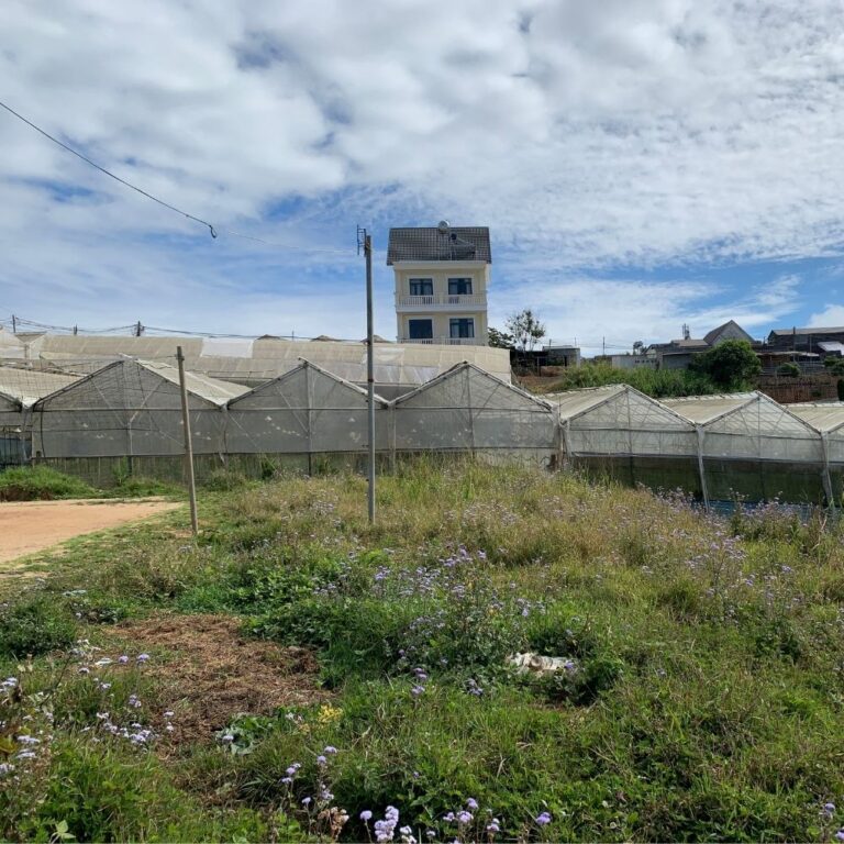 Bán đất, Đường Mai Xuân Thưởng, Phường 8, TP Đà Lạt, Đường ô tô 4m, 261m2