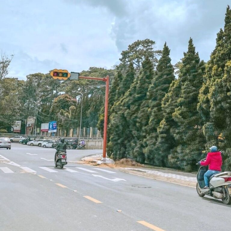 Thị trường Bất Động Sản Đà Lạt Lâm Đồng đang có những ưu thế nào?