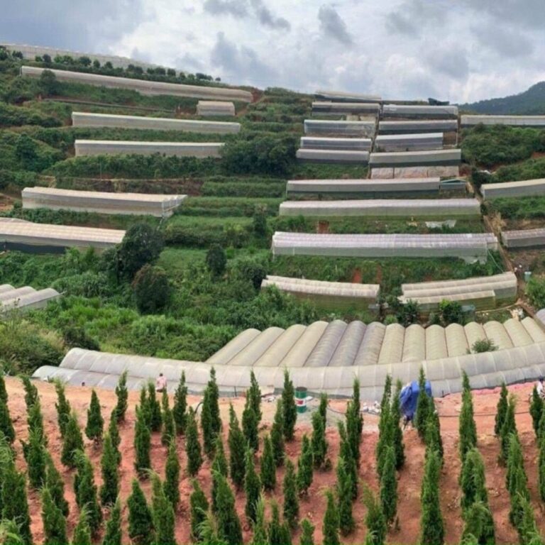 Bán đất, thôn Đa Quý, xã Xuân Thọ, TP Đà Lạt, Đường ô tô vào tận nơi 4m, 503m2