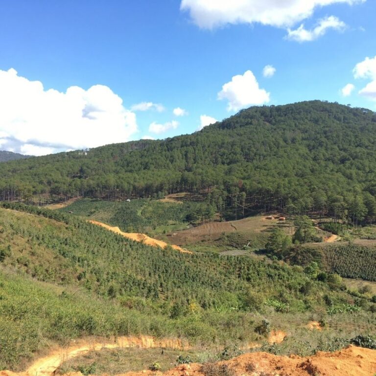 Bán đất, thôn 4, xã Đạ Sar, Huyện Lạc Dương, Đường bê tông quy hoạch rộng 8m, 7500m2