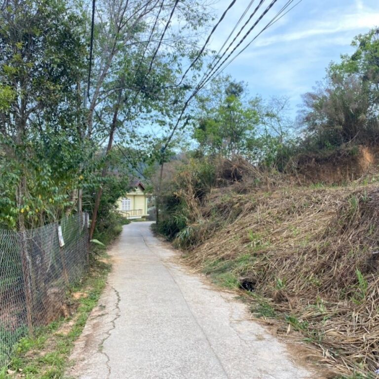 Bán đất, đường Khe Sanh, Phường 10, TP Đà Lạt, Đường bê tông ô tô 6m, 500m2