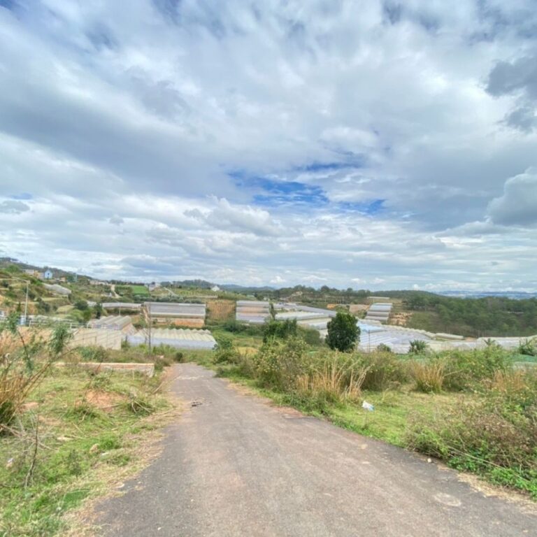 Bán đất, Thôn Măng Line, Phường 7, TP Đà Lạt, Đường nhựa ô tô 3.5m, 200m2