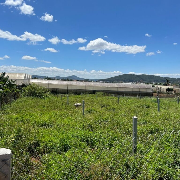 Bán đất, xã Mê Linh, huyện Lâm Hà, tỉnh Lâm Đồng, Đường ô tô 5m, 326m2