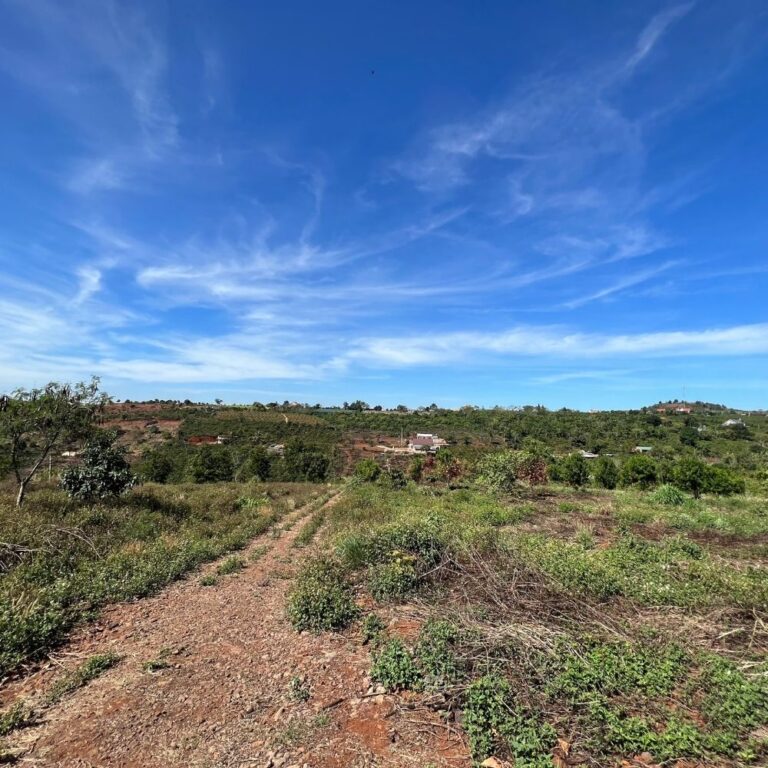 Bán đất, thị trấn Nam Ban, huyện Lâm Hà, Lâm Đồng, Đường ô tô vào tận nơi 4m, 814m2