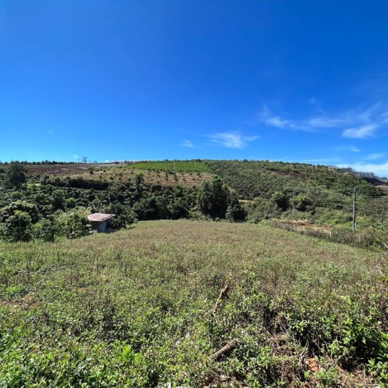 Bán đất, Xã Mê Linh, Huyện Lâm Hà, Đường ô tô 5m, 4467m2