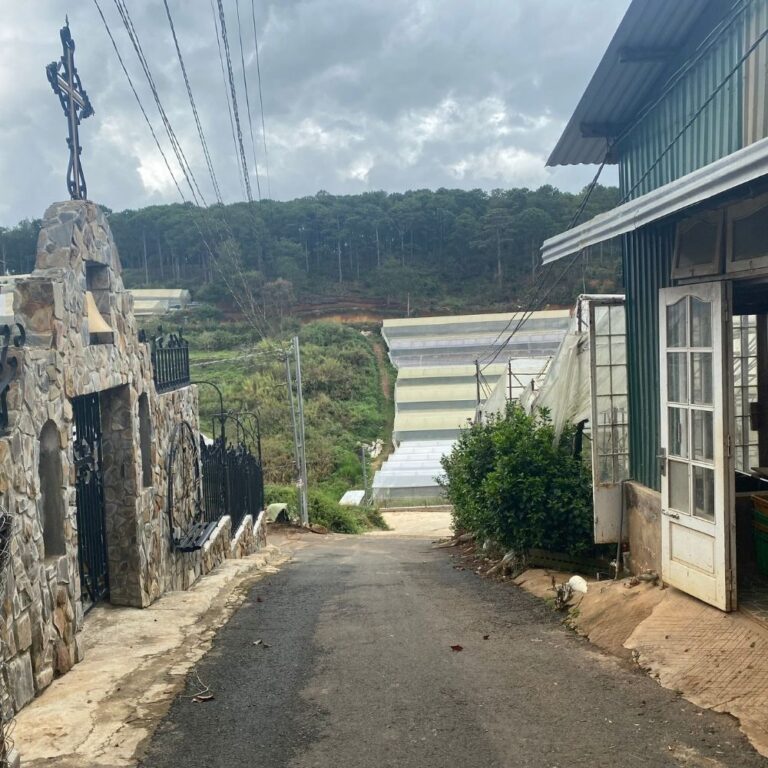 Bán 3 lô đất, đường Vạn Thành, Phường 5, thành phố Đà Lạt, 513m2 đến 558m2, Đường bê tông ô tô 5m