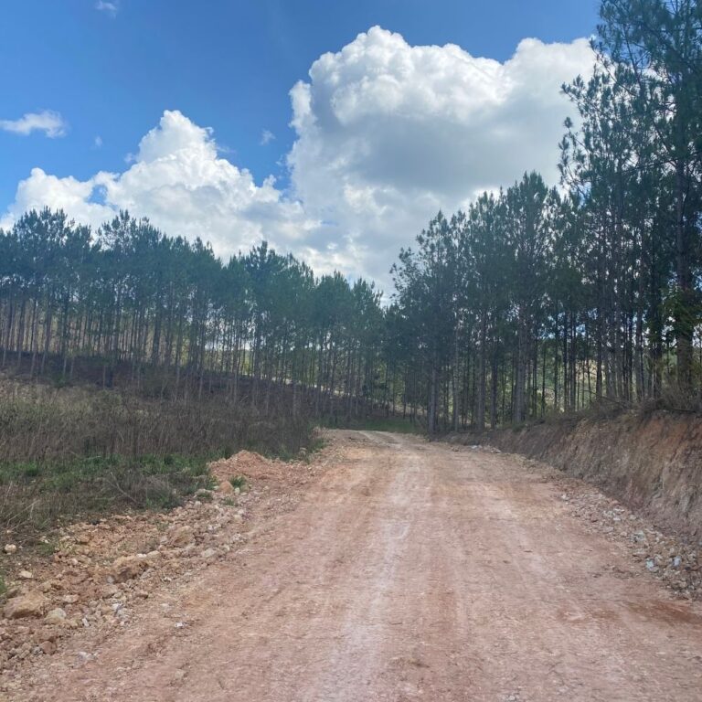 Bán 5 lô đất, xã Gia Lâm, huyện Lâm Hà, tỉnh Lâm Đồng, 1000m2 đến 2000m2, Đường bê tông ô tô 4m