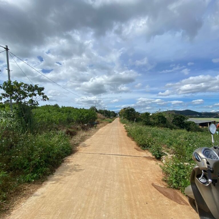 Bán đất, xã Đông Thanh, huyện Lâm Hà, tỉnh Lâm Đồng, 4859m2, Đường bê tông hiện trạng 4m