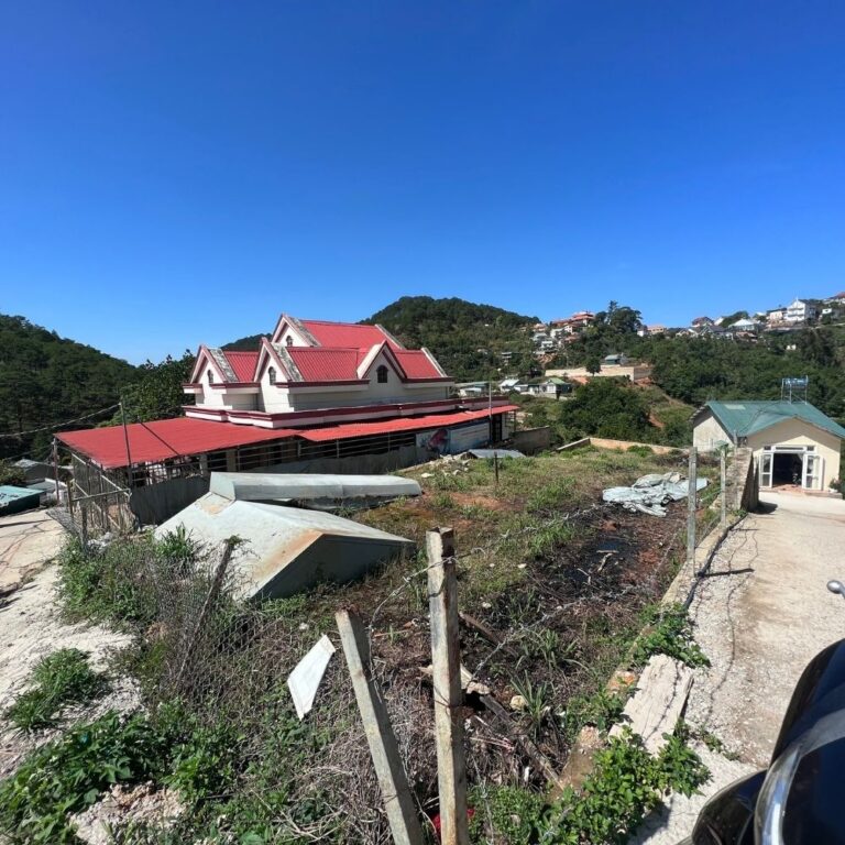 Bán đất, đường Hoàng Hoa Thám, Phường 10, thành phố Đà Lạt, 300m2, Đường ô tô vào tận nơi 5m