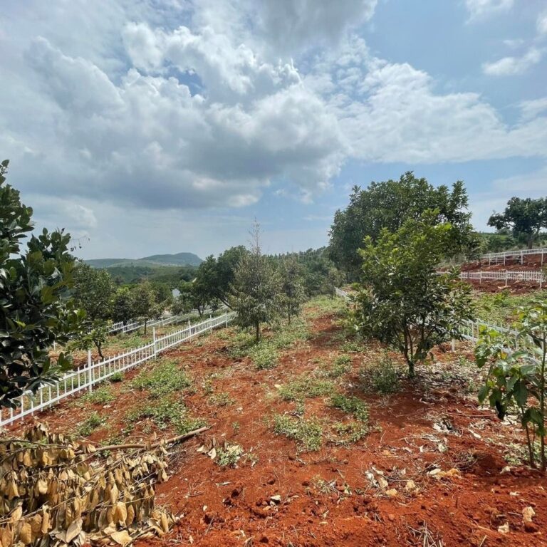 Bán 4 lô đất, xã Nam Hà, huyện Lâm Hà, tỉnh Lâm Đồng, 500 đến 530m2 một lô, Đường bê tông ô tô 4m