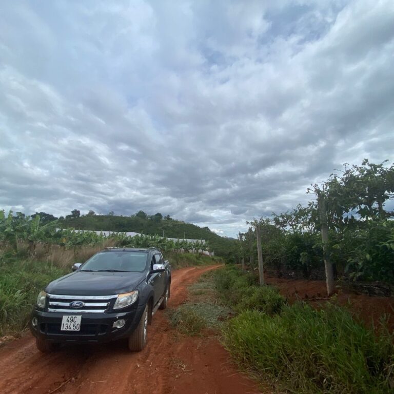 Bán đất, xã Nam Hà, huyện Lâm Hà, tỉnh Lâm Đồng, 4003m2, Đường ô tô 6m