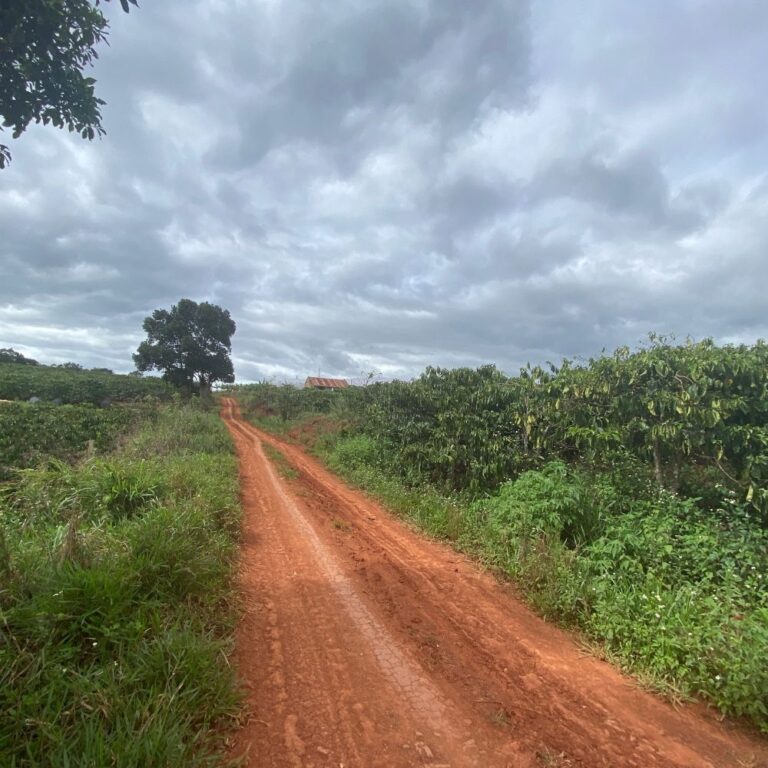Bán đất, xã Nam Hà, huyện Lâm Hà, tỉnh Lâm Đồng, 6056m2, Đường ô tô 6m