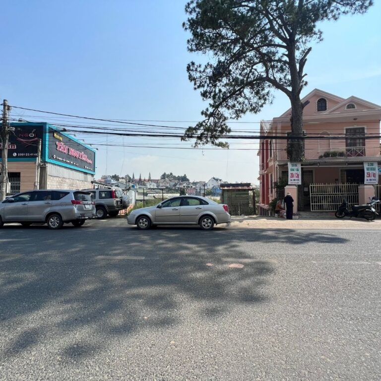 Bán đất, đường Nguyễn Công Trứ, phường 8, thành phố Đà Lạt, 1100m2, Mặt tiền đường chính Nguyễn Công Trứ 10m