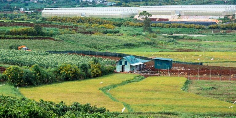 Quy hoạch chi tiết khu đô thị 150ha tại thị trấn Thạnh Mỹ Đơn Đương