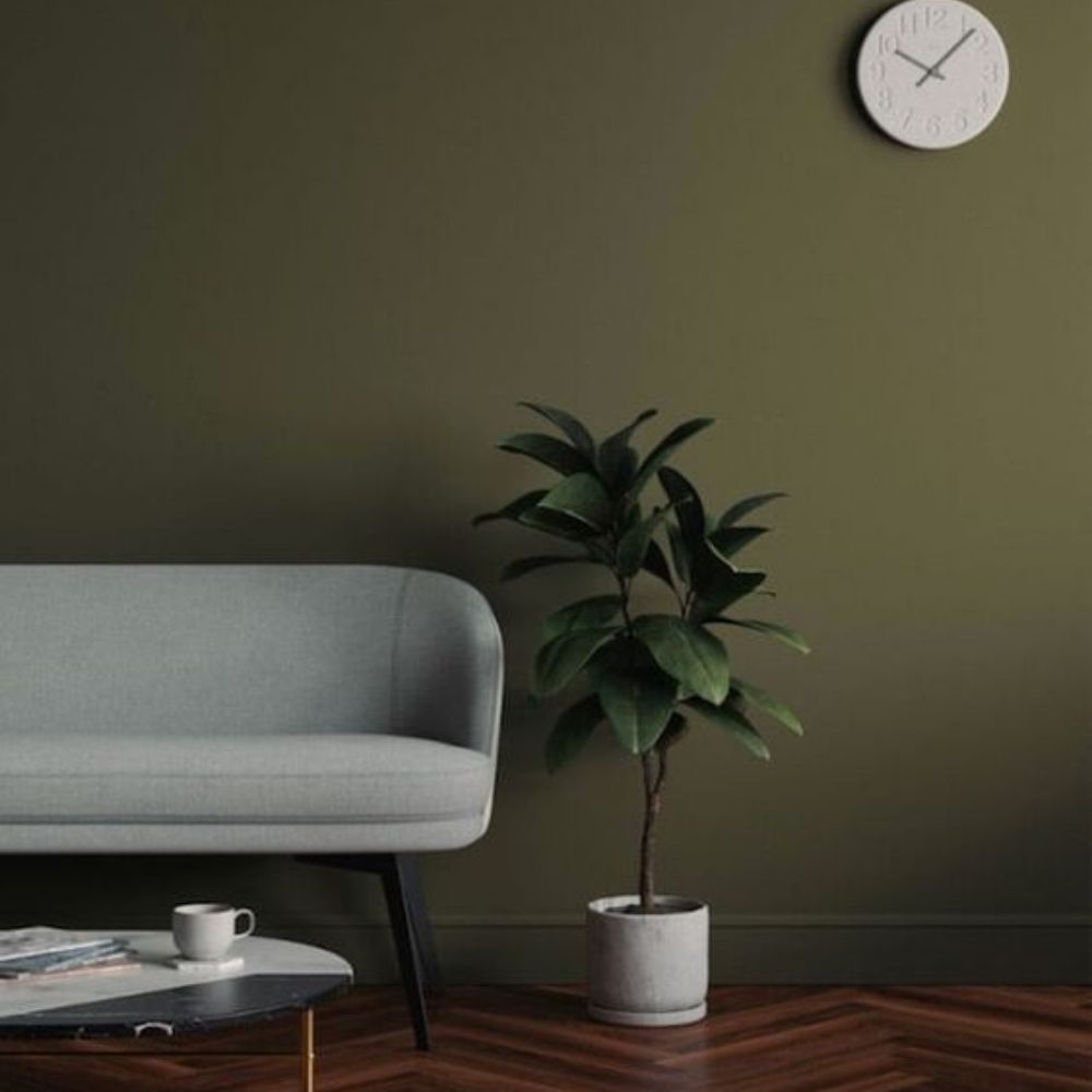 Phối màu sơn tường 2022