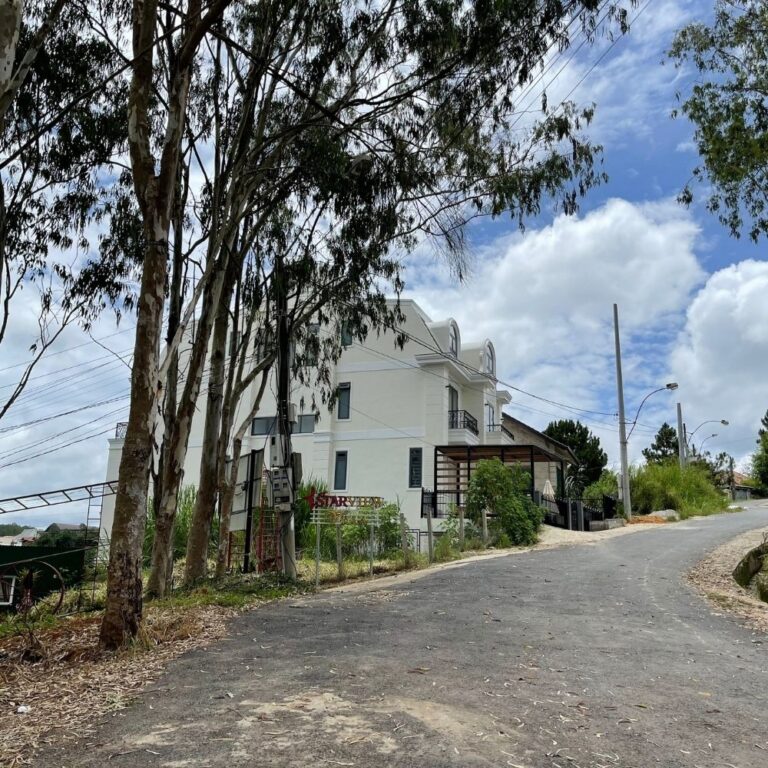 Bán 3 lô đất, Nguyễn Hữu Cảnh, Phường 8, thành phố Đà Lạt, 359m2, 319m2 và 296m2, Đường bê tông 4m