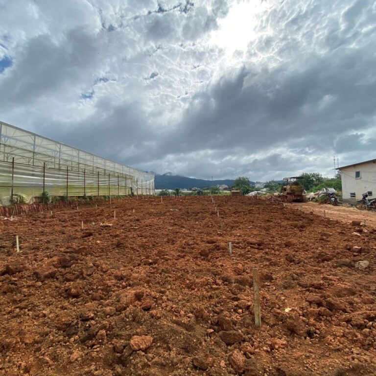 Bán đất, thôn Đăng Gia Rít B, huyện Lạc Dương, tỉnh Lâm Đồng, 500m2, Đường bê tông hiện trạng 5m