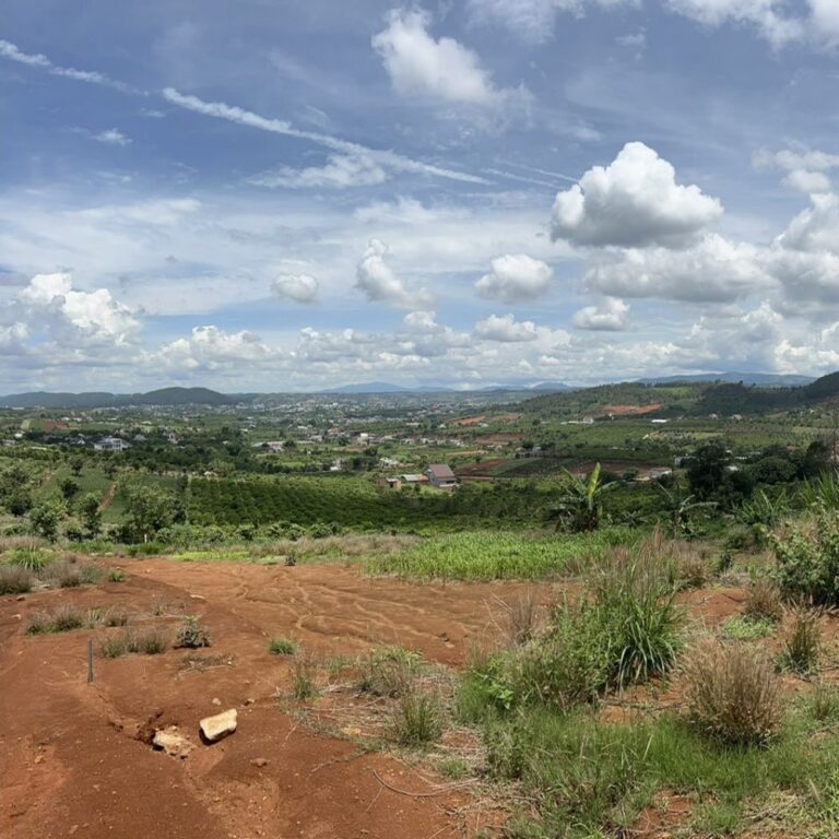 Bán đất, xã Đông Thanh, huyện Lâm Hà, tỉnh Lâm Đồng, 1600m2, Đường bê tông ô tô 4m