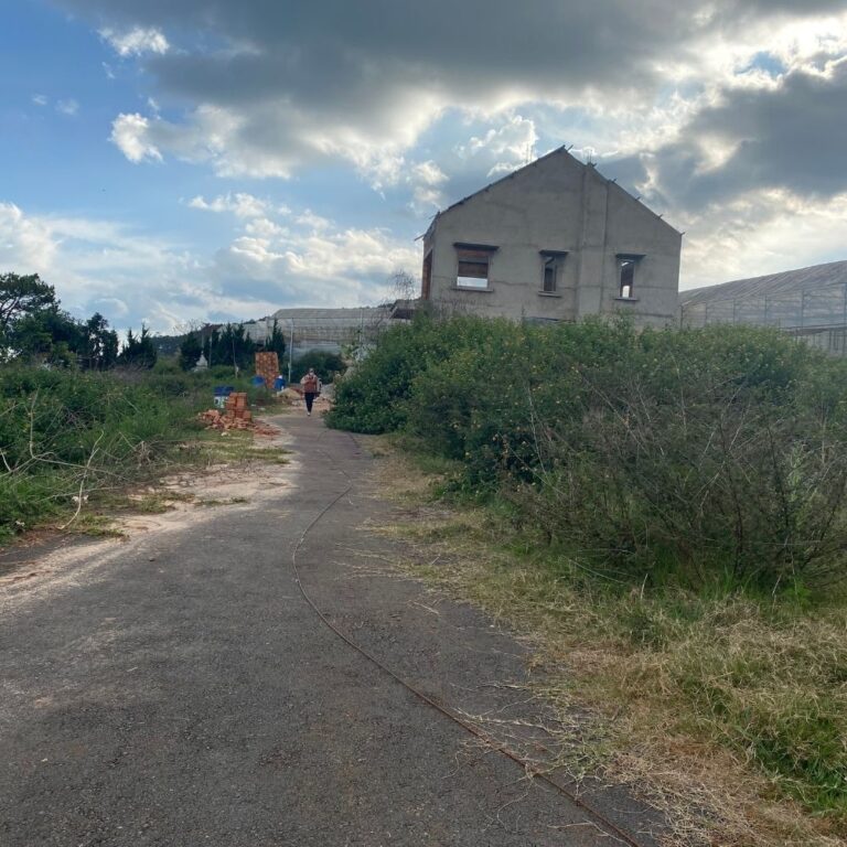 Bán đất, đường Măng Line, Phường 7, thành phố Đà Lạt, 200m2, Đường ô tô tận nơi