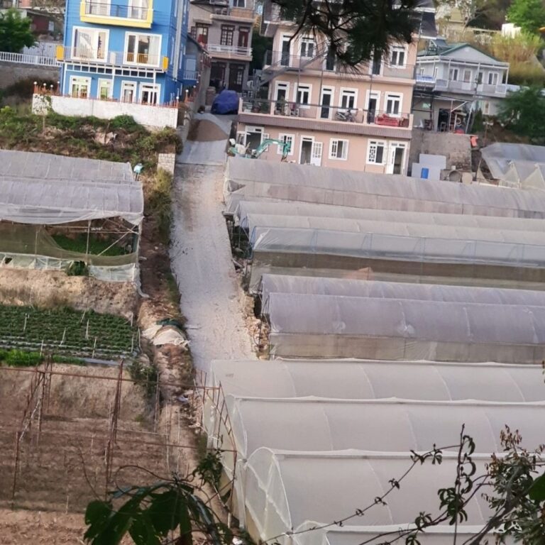 Bán đất, đường Nguyễn Hữu Cảnh, Phường 8, thành phố Đà Lạt, 1397m2, Đường bê tông 3m