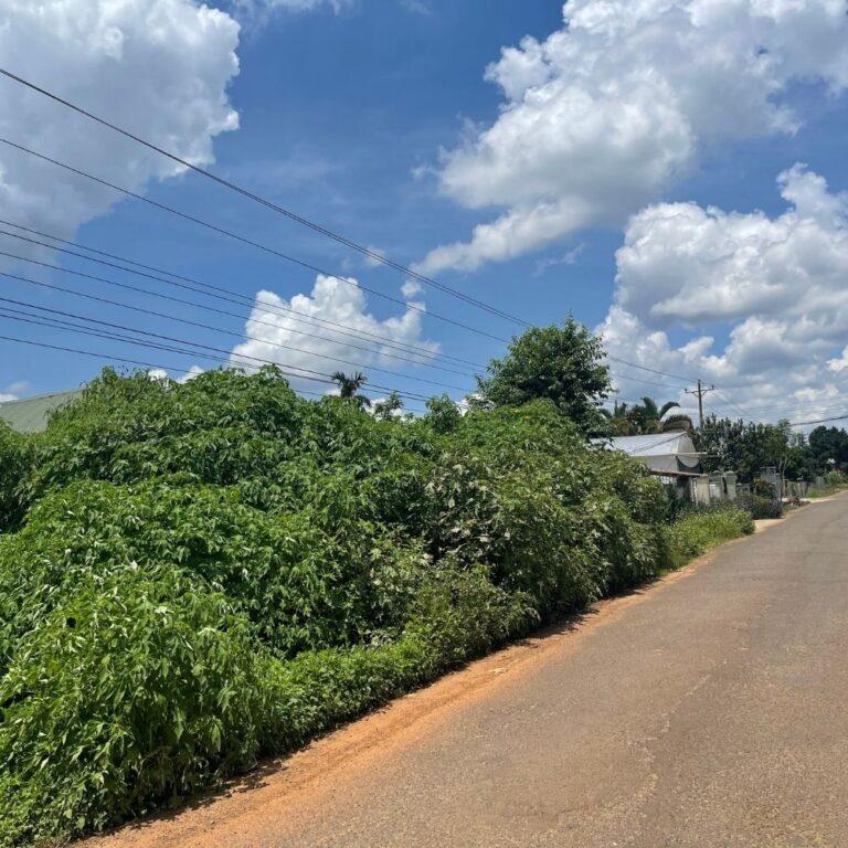 Bán đất, xã Tà Nung, thành phố Đà Lạt, tỉnh Lâm Đồng, 1000m2, Mặt tiền đường nhựa 6m