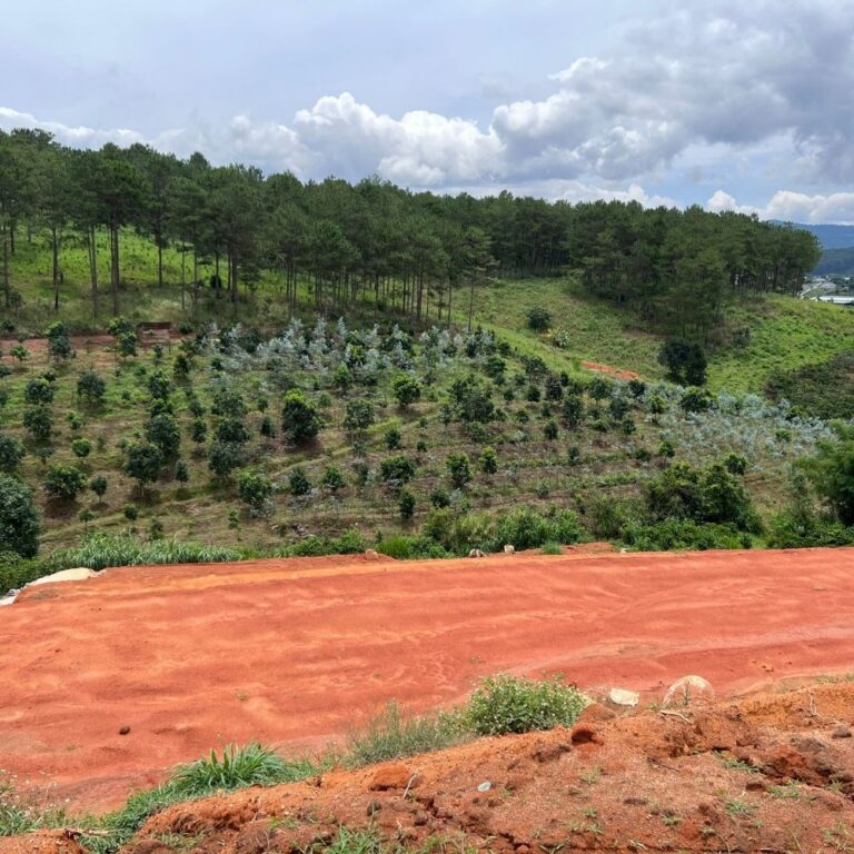 Bán đất, xã Tà Nung, thành phố Đà Lạt, tỉnh Lâm Đồng, 1125m2, Đường bê tông ô tô 4m