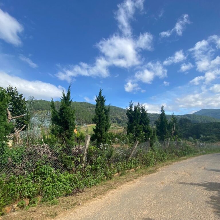 Bán đất, xã Tà Nung, thành phố Đà Lạt, 3400m2, Đường nhựa ô tô tận nơi