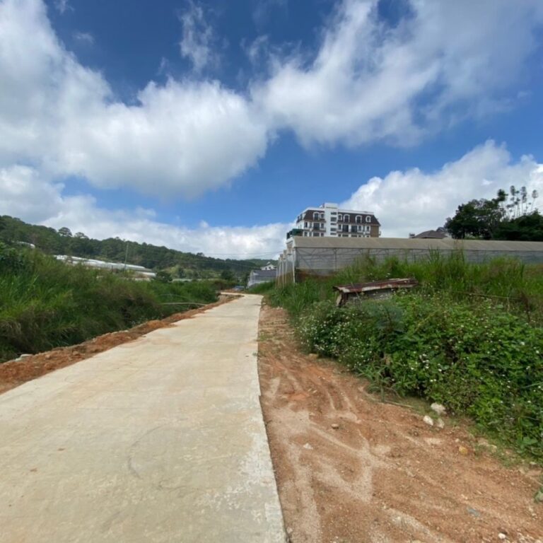 Bán đất, đường Triệu Việt Vương Phường 4, thành phố Đà Lạt, 2016m2, Đường nhựa hiện trạng 10m