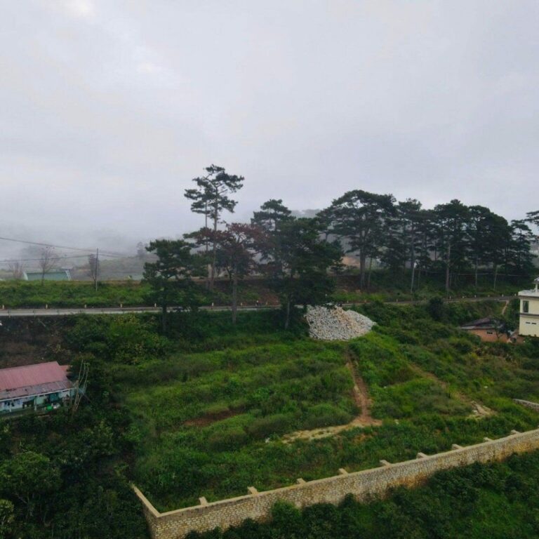 Bán đất, Mặt tiền quốc lộ 20, xã Xuân Thọ, thành phố Đà Lạt, 1500m2, Đường nhựa ô tô 8m