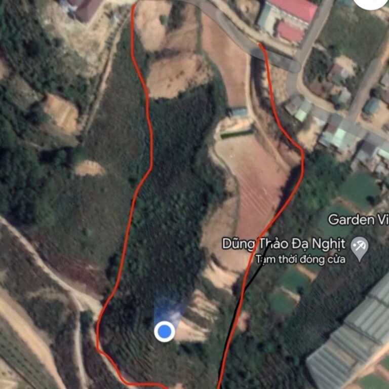 Bán đất, xã Lát, huyện Lạc Dương, tỉnh Lâm Đồng, 6776m2 thực tế 11000m2, Đường bê tông ô tô 8m