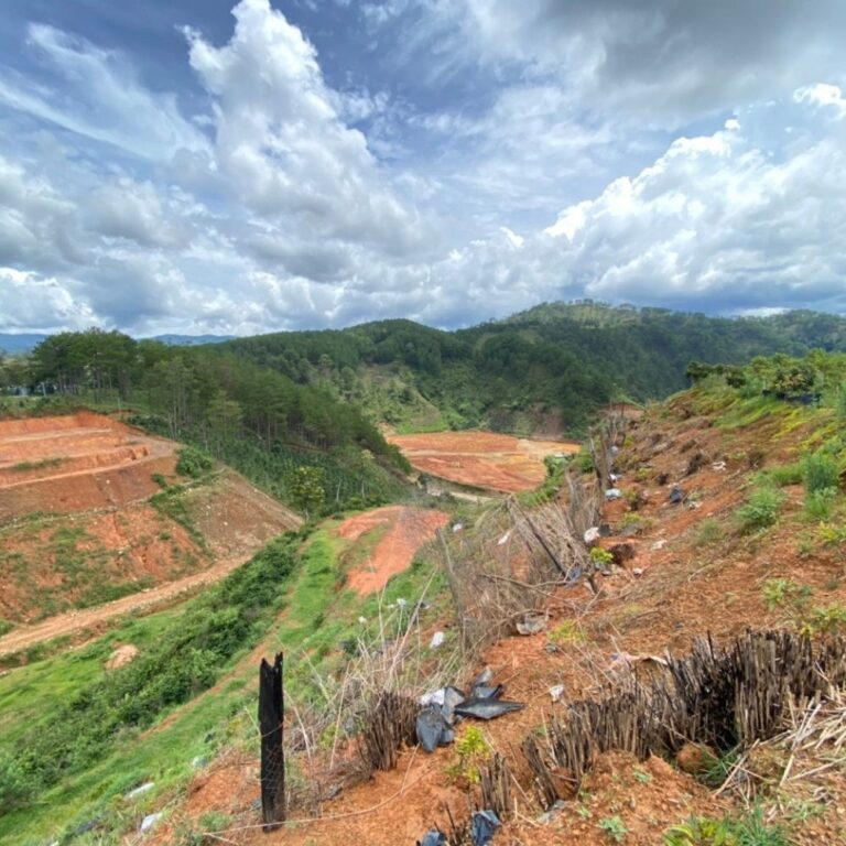 Bán đất, xã Lát, huyện Lạc Dương, tỉnh Lâm Đồng, 6800m2 thực tế 12000m2, Đường bê tông ô tô 6m