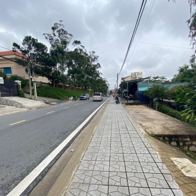 Cho thuê đất, đường Hai Bà Trưng, Phường 6, thành phố Đà Lạt, 550m2, Đường nhựa hiện trạng 14m
