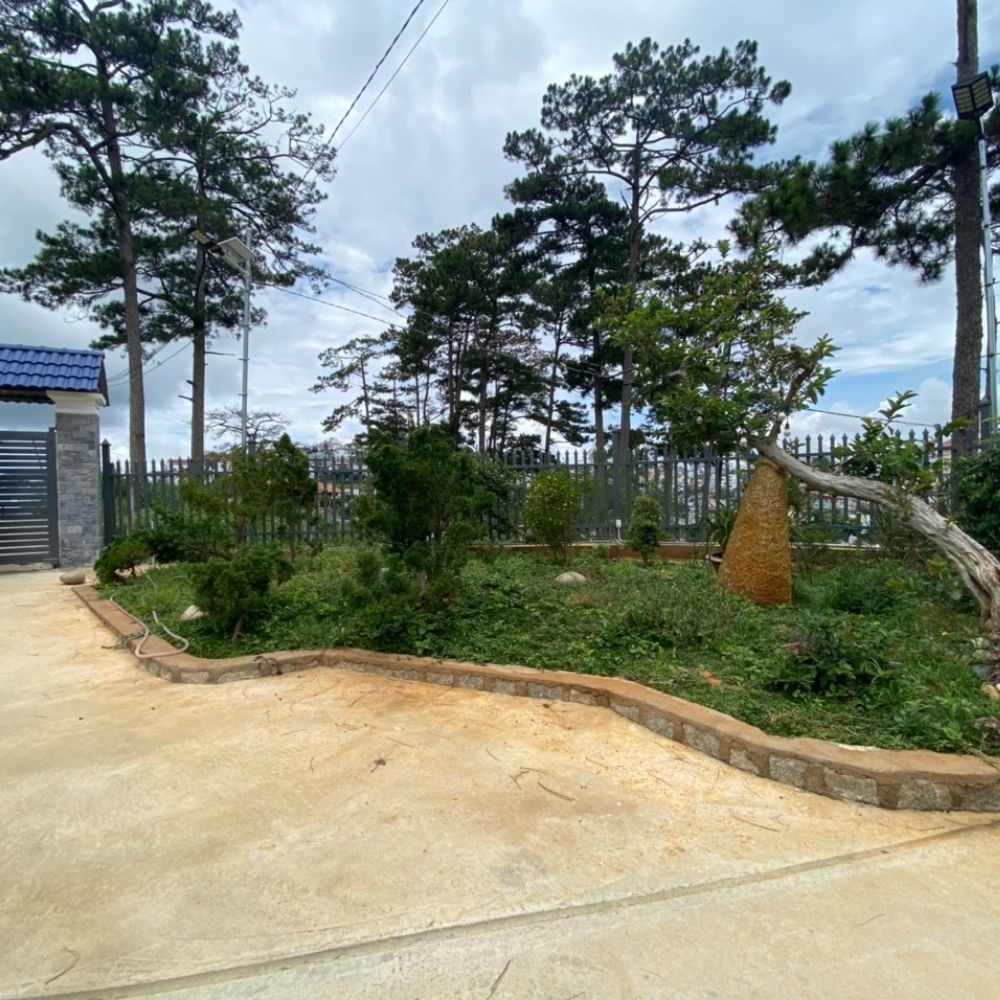 Nhà cho thuê, đường Lương Thế Vinh, Phường 4, thành phố Đà Lạt, 250m2, Đường đá hiện trạng 3m